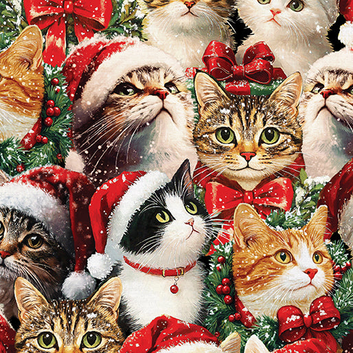 Merry Cats Portrait - Multi Merry Cats