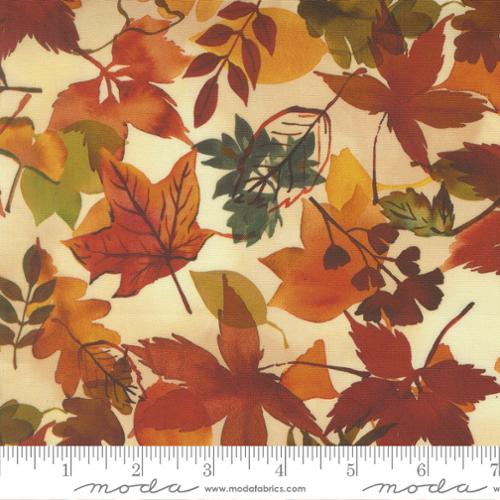 Northern Brights Autumn