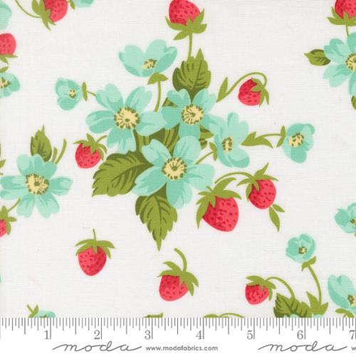 Bloomsberry White