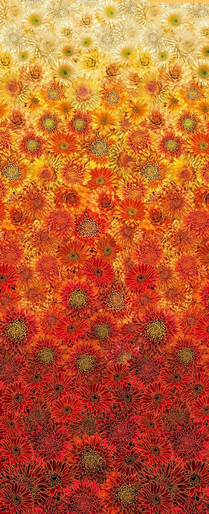 Ombre Metallic Mums